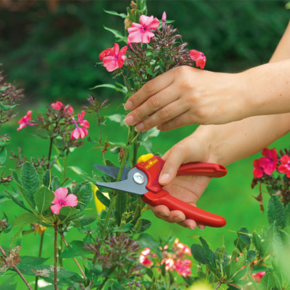 Sekator ogrodniczy nożycowy Basic Plus RR 1500